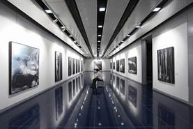 نمایشگاه نقاشی های مصطفی دشتی در گالری پردیس ملت